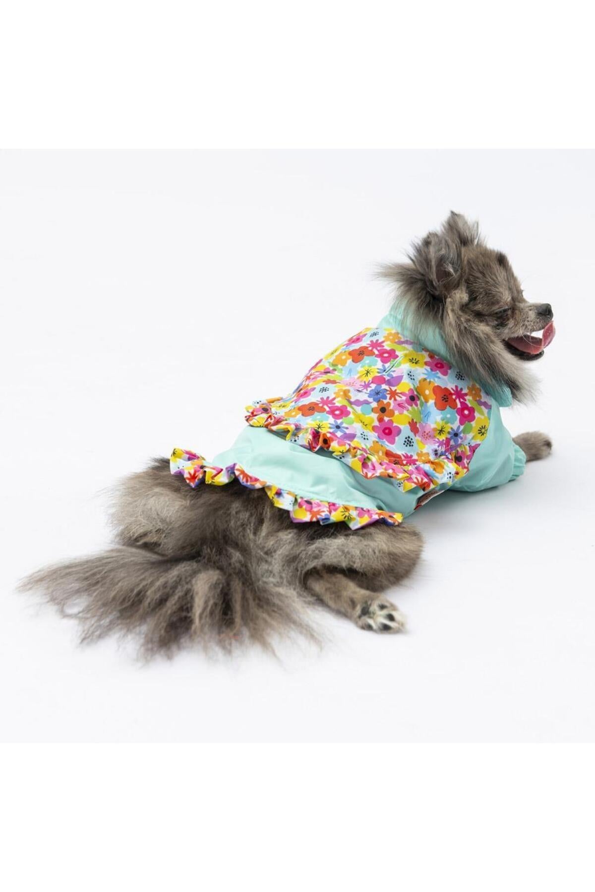 Pawstar Mint Victoria Köpek Mont Köpek Yağmurluk Köpek Kıyafeti Köpek Elbisesi M