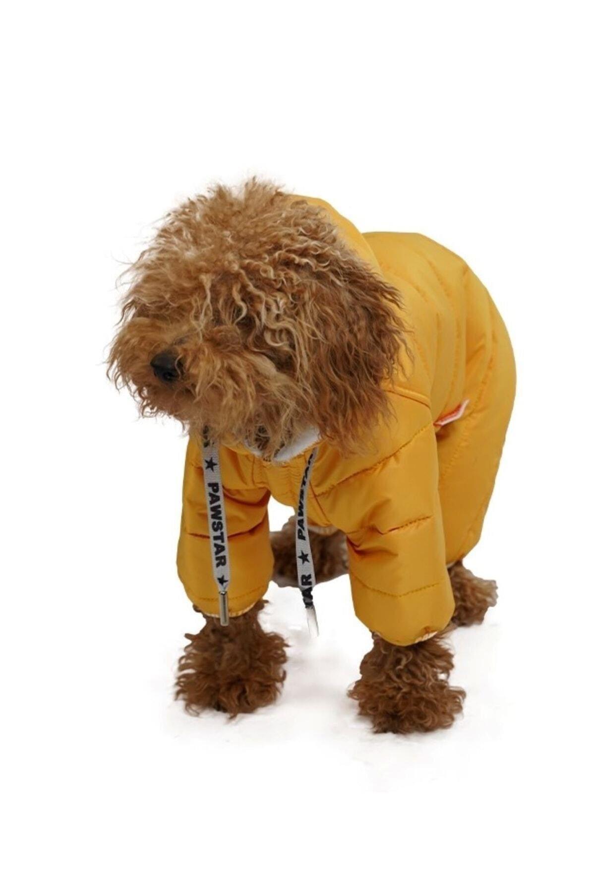 Pawstar Sport Küçük Irk Köpek Yağmurluk Tulumu Sarı M