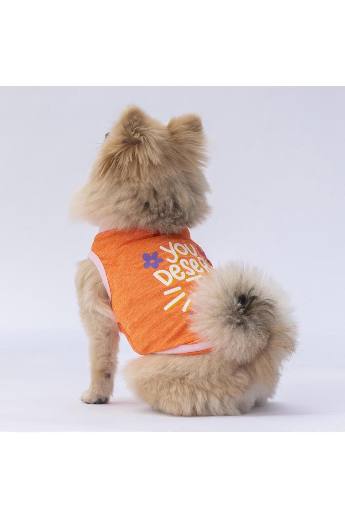 Pawstar Turuncu Joy Kedi Köpek Tişörtü - Kedi Köpek Kıyafeti L