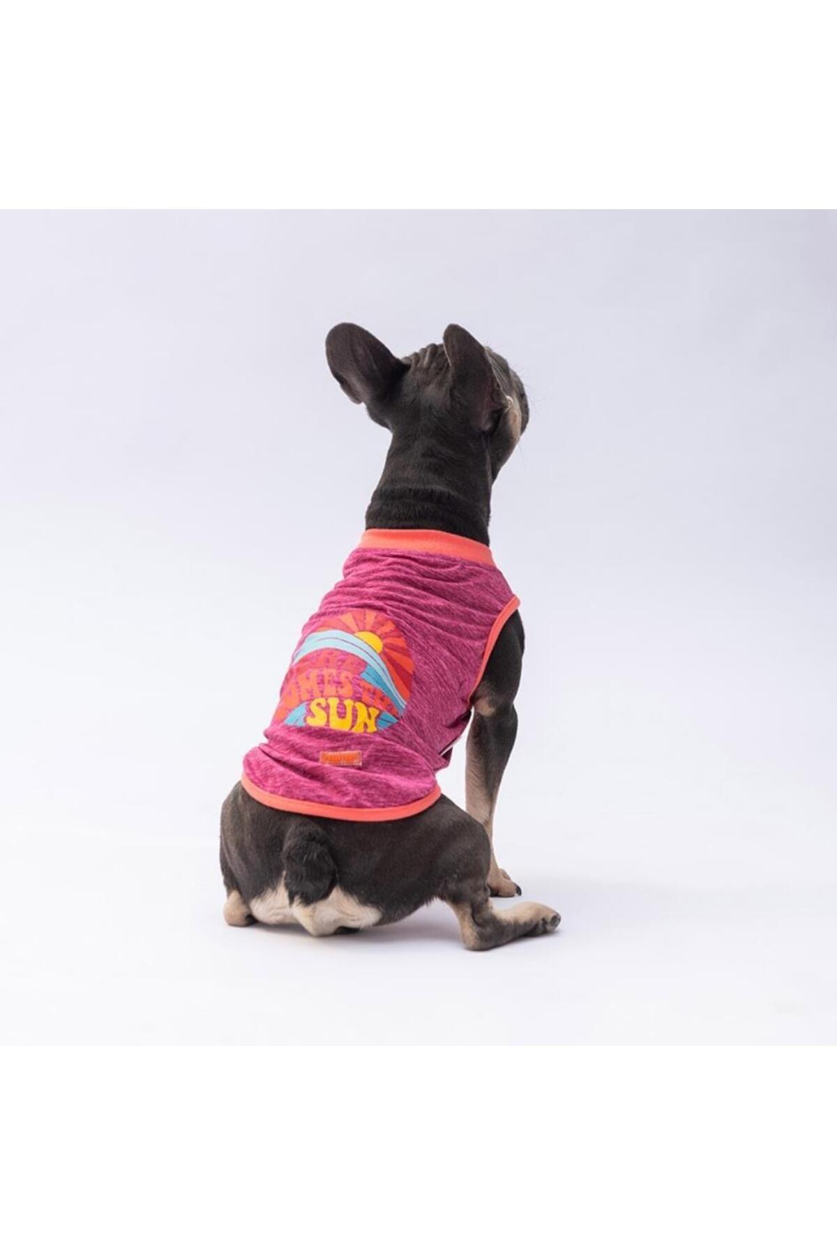 Pawstar Vişnerengi The Sun Kedi Köpek Tişörtü - Kedi Köpek Kıyafeti XL