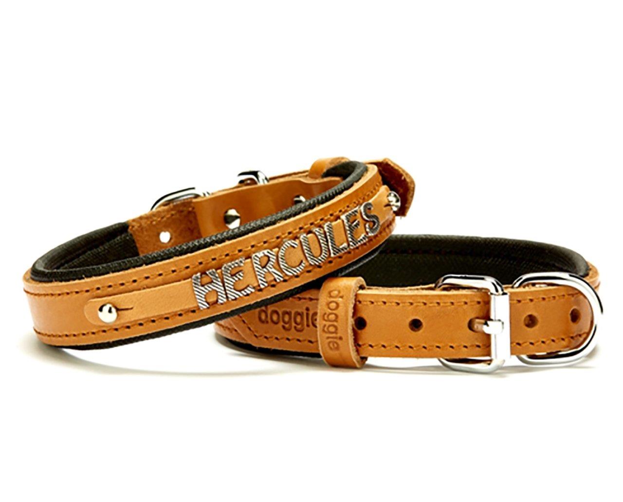 Doggie Konfor Deri İsimlikli Boyun Tasması 2X30-35Cm Camel