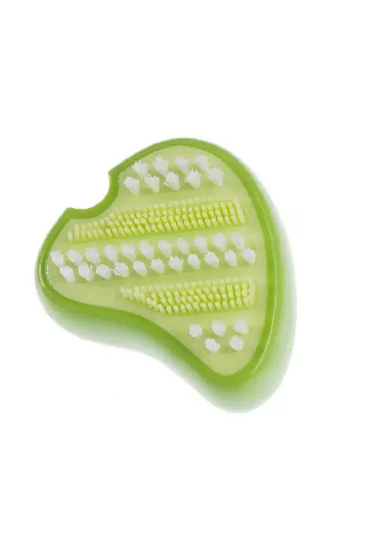 Gimdog Biftek Şeklinde Diş Fırçası Yeşil