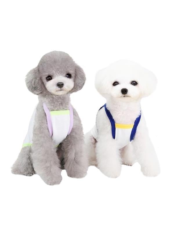 Glipet Bruch Desenli Köpek Kıyafeti Mavi XL