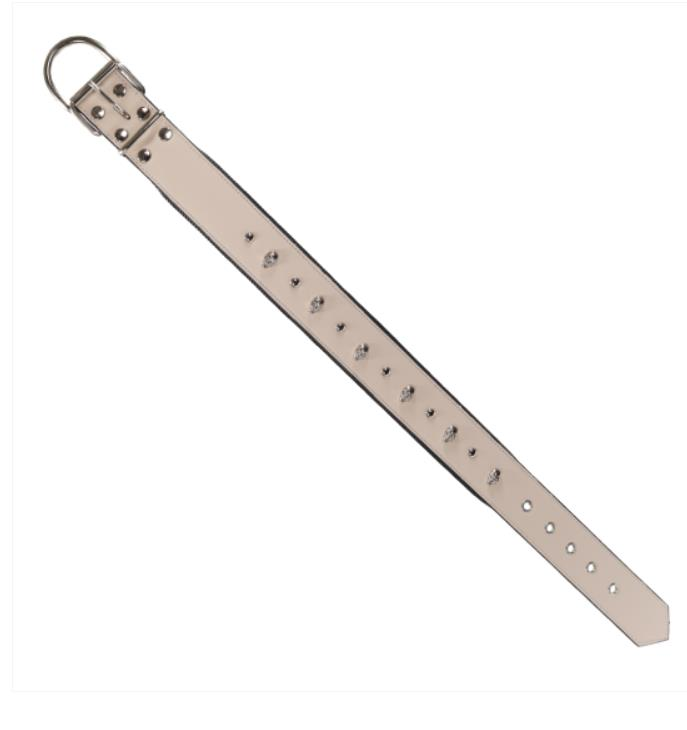 Glipet Kuru Kafalı Ve Çivili Beyaz Renkli Destekli Yumuşak Doku Köpek Boyun Tasması 4x65 Cm