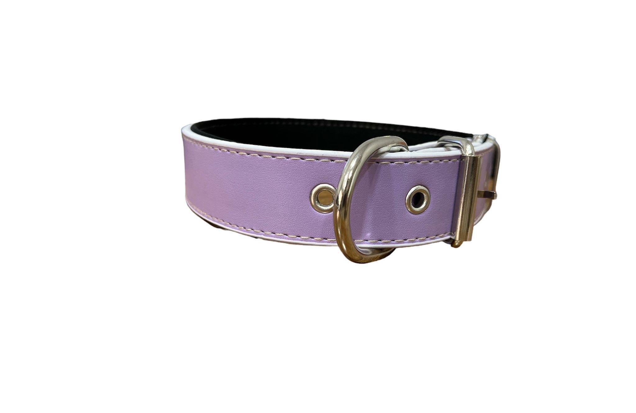 Glipet Rivetli ve Kuru Kafalı Yumuşak Doku Köpek Boyun Tasması Lila  2.5x50 Cm