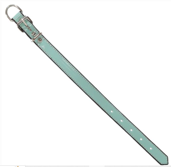 Glipet Rugan Yumuşak Dokulu Köpek Boyun Tasması Turkuaz  2,5x40 Cm