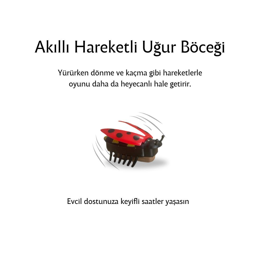 Glipet Uğur Böceği Kedi/Köpek Oyuncağı