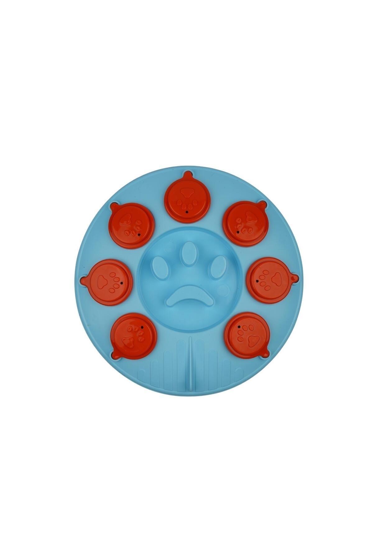 Kedi Köpek Bulmacası ve Yavaş Yeme Mama kabı Turkuaz-turuncu