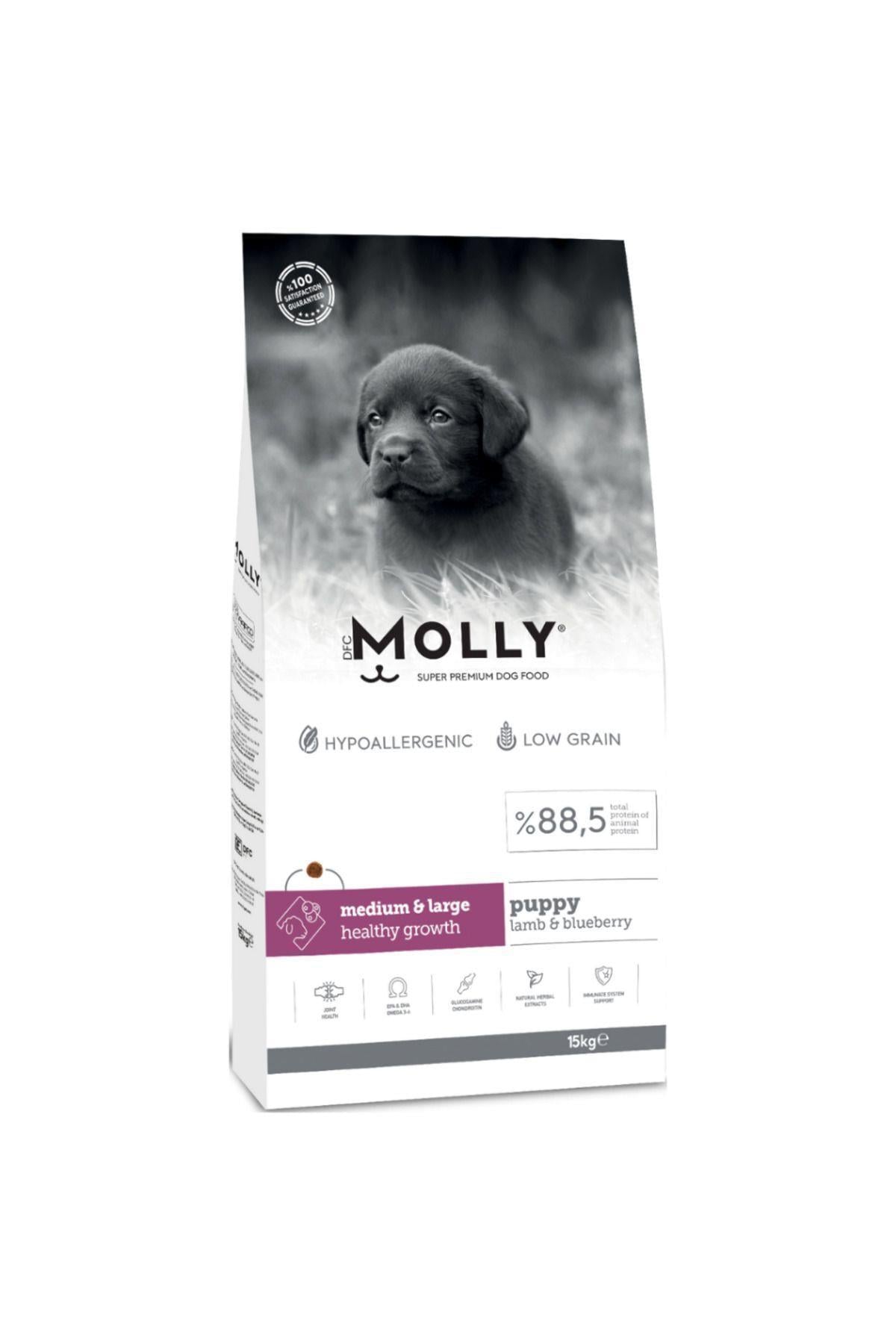 Molly Medium Puppy Kuzu Etli & Yaban Mersinli Orta ve Büyük Irk Yavru Köpek Maması 15 Kg