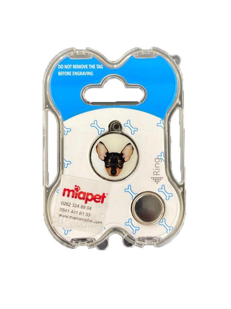 NW Köpek Künyesi İsimlikli pt115