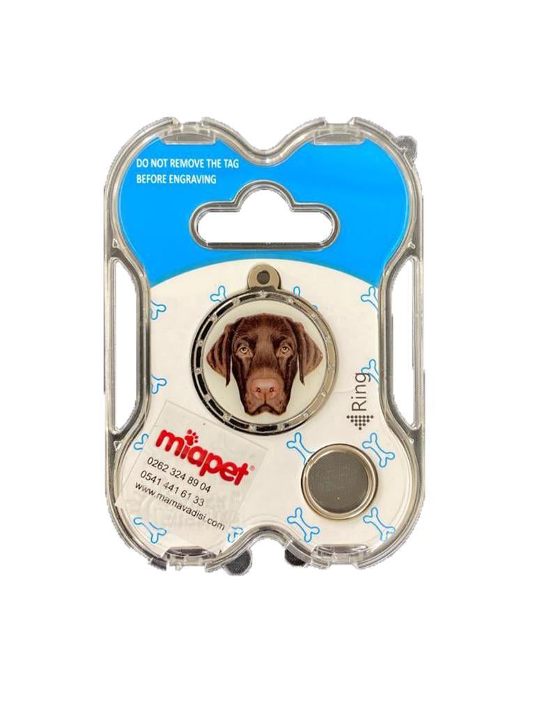 NW Köpek Künyesi İsimlikli pt133