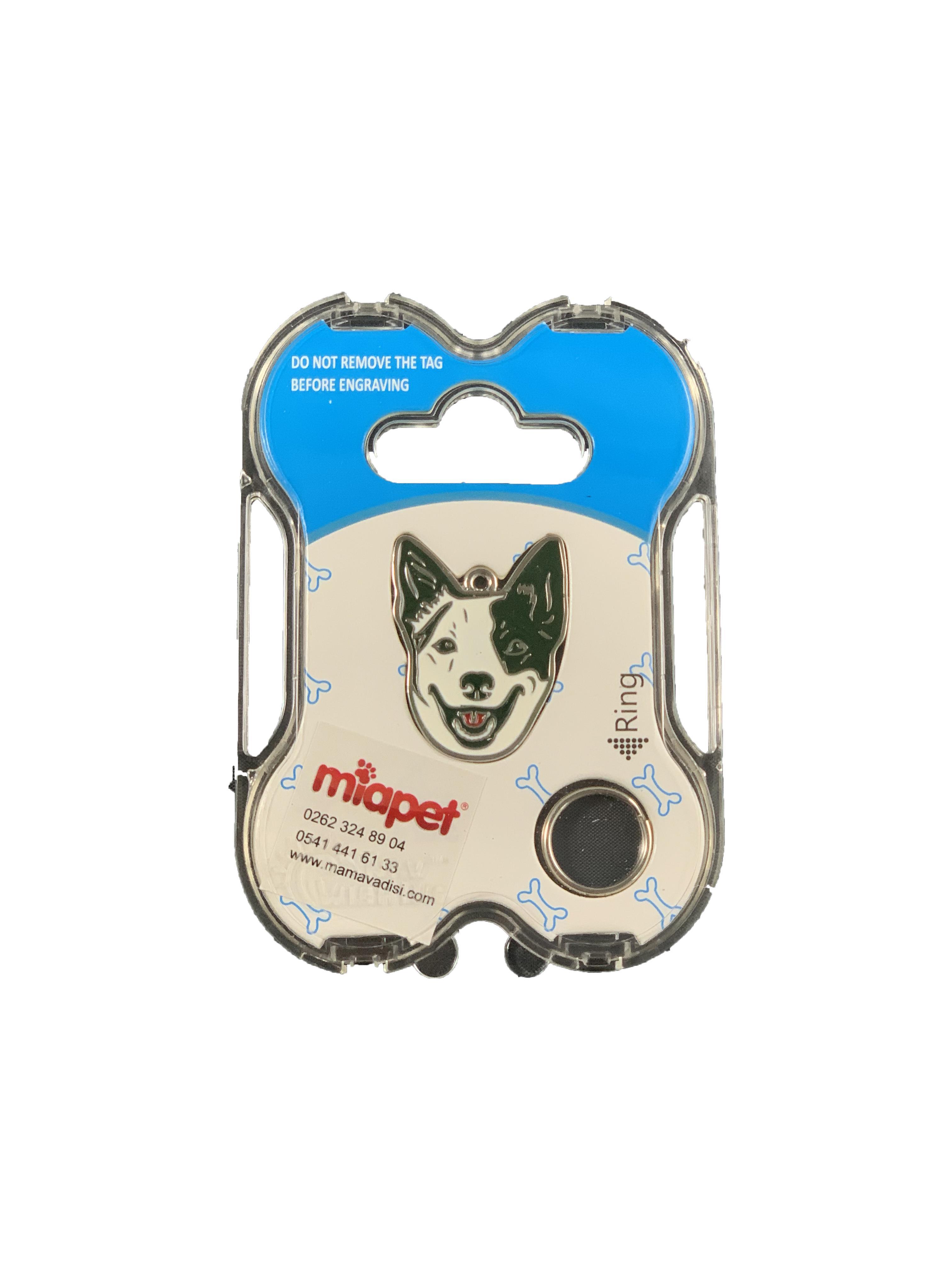 NW Köpek Künyesi İsimlikli pt158