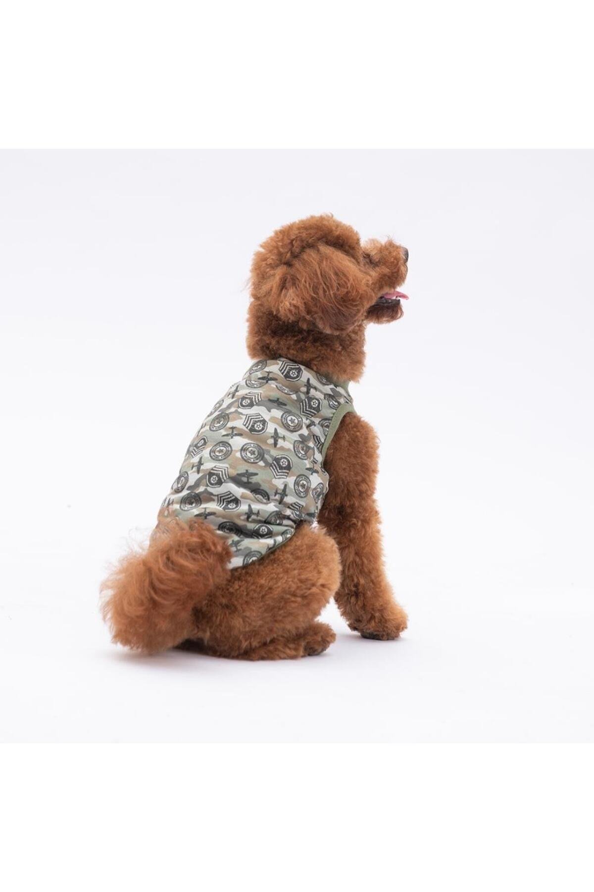 Pawstar Air Army Kedi Köpek Tişörtü - Kedi Köpek Kıyafeti 2xl