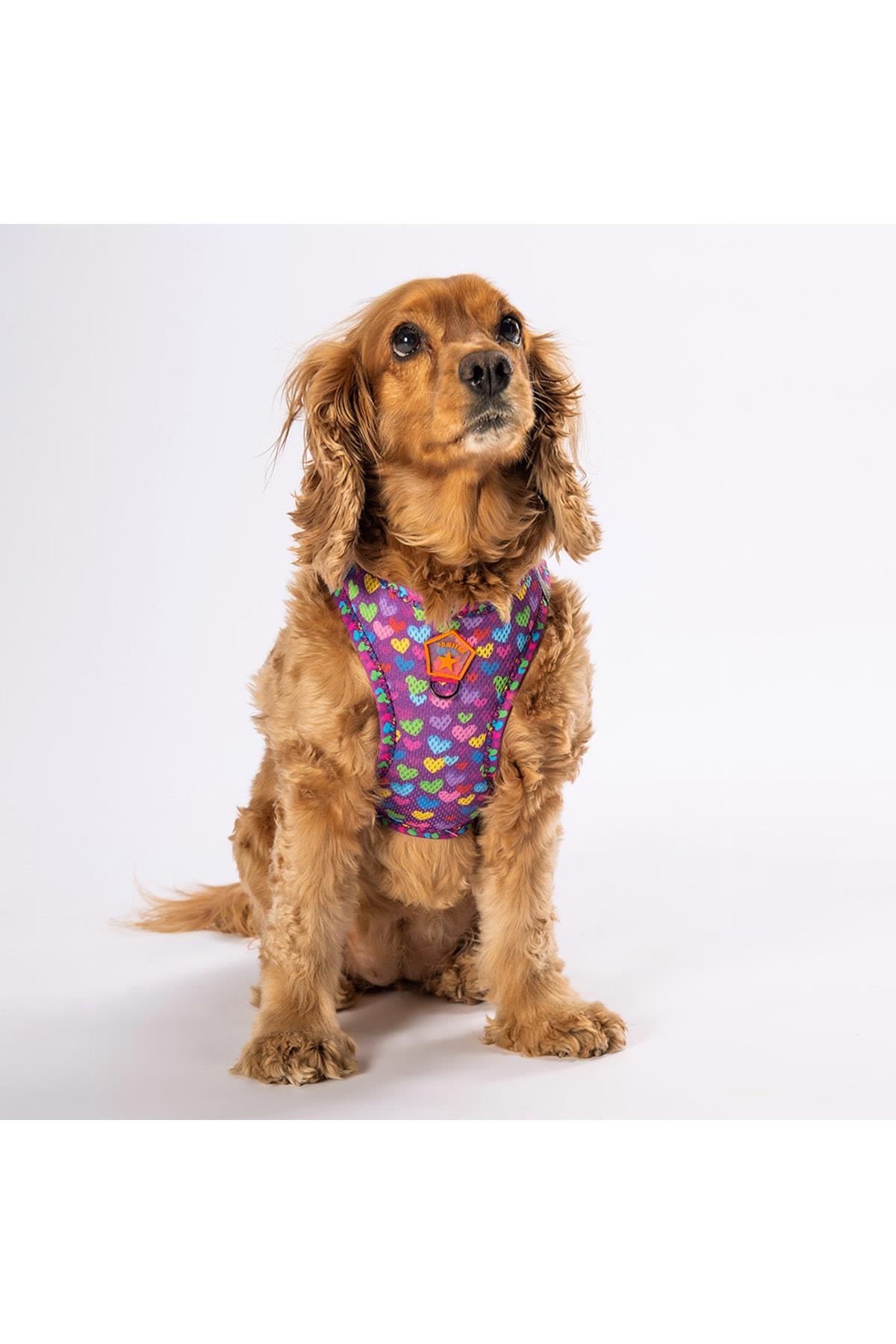 Pawstar Air-mesh Hearts Köpek Göğüs Tasması  XSmall