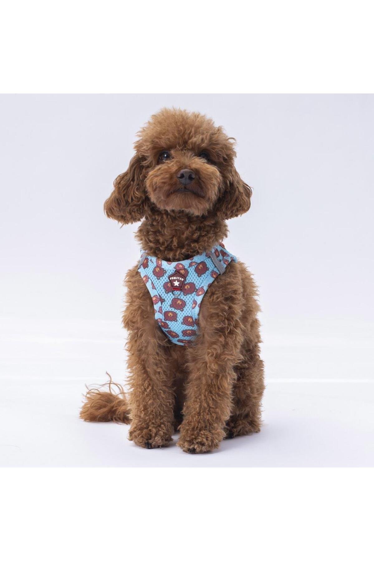 Pawstar Bears Air-mesh Göğüs Tasması Kedi Köpek Göğüs Tasması XLarge