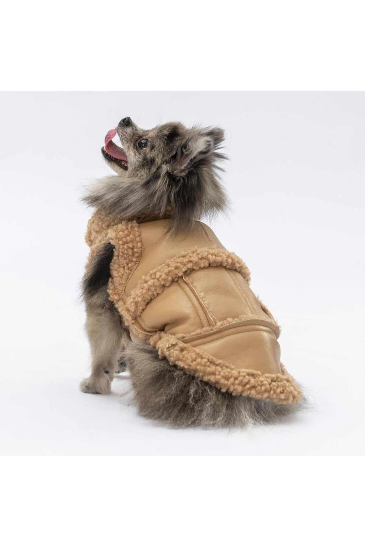 Pawstar Bej Churchill Yelek Köpek Yeleği Köpek Kıyafeti Köpek Yağmurluk 2XL