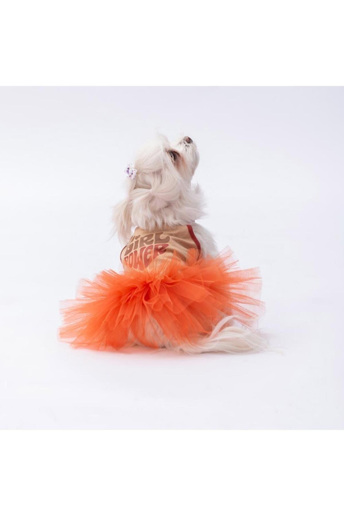 Pawstar Bej Girl Power Kedi Köpek Elbisesi - Kedi Köpek Kıyafeti XL