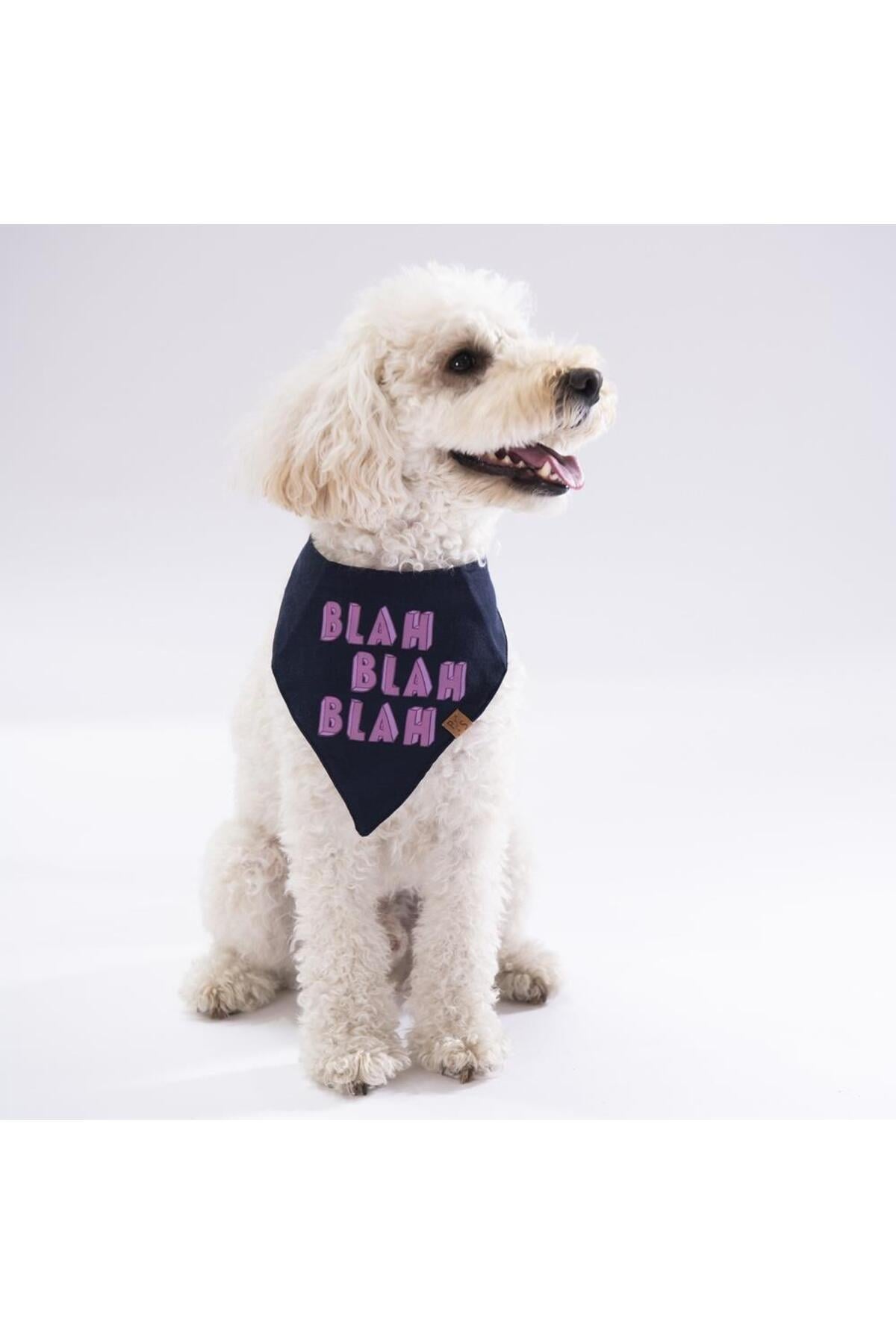 Pawstar Bla Bla Bla Kedi Köpek Fuları Pet Bandanası 3