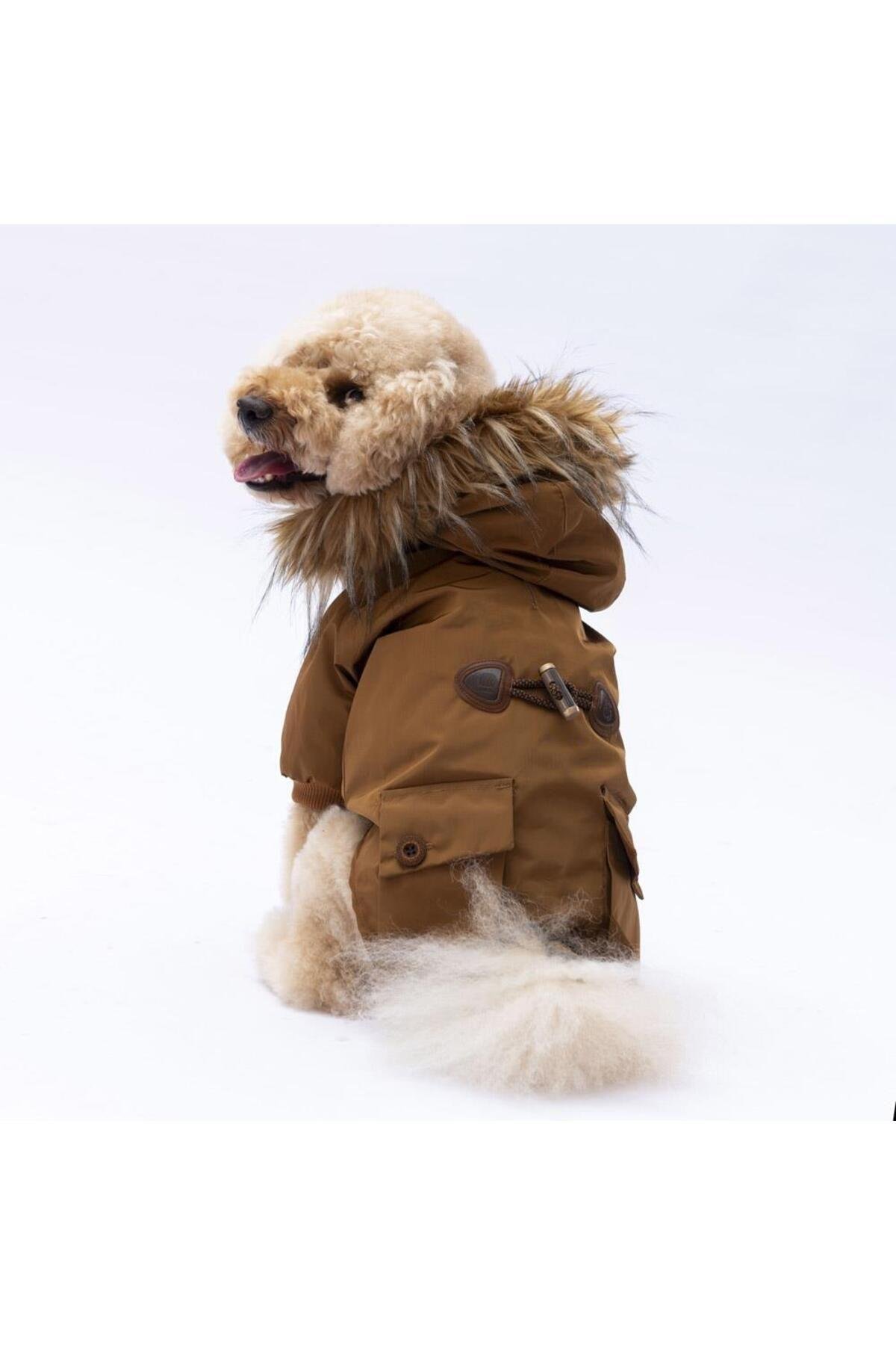 Pawstar Camel Charles Köpek Mont Köpek Yağmurluk Köpek Kıyafeti Köpek Elbisesi M