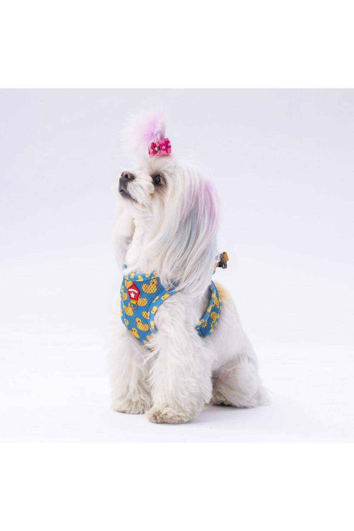 Pawstar Ducks Air-mesh Göğüs Tasması Kedi Köpek Göğüs Tasması S