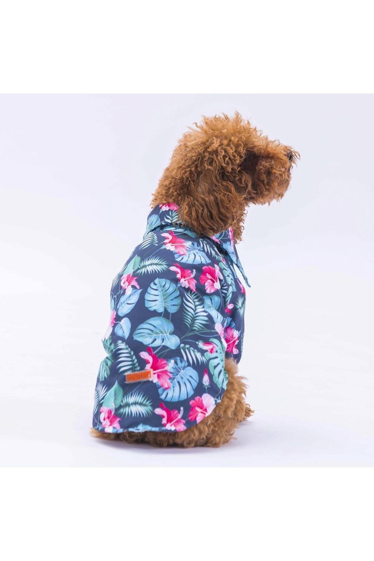 Pawstar Floral Kedi Köpek Gömleği - Kedi Köpek Kıyafeti 2XL