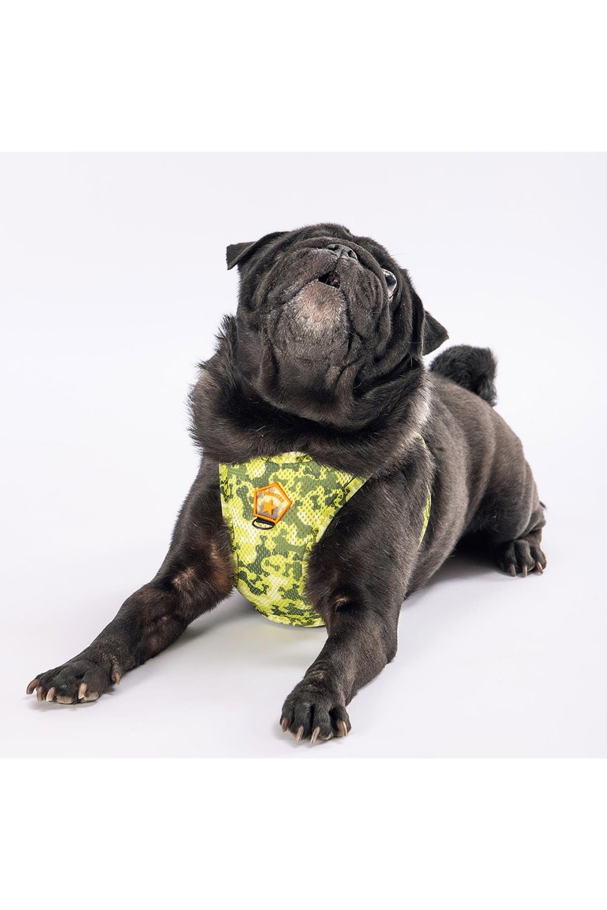 Pawstar GreeNossa Air-mesh Göğüs Tasması Kedi Köpek Göğüs Tasması 3 XSmall