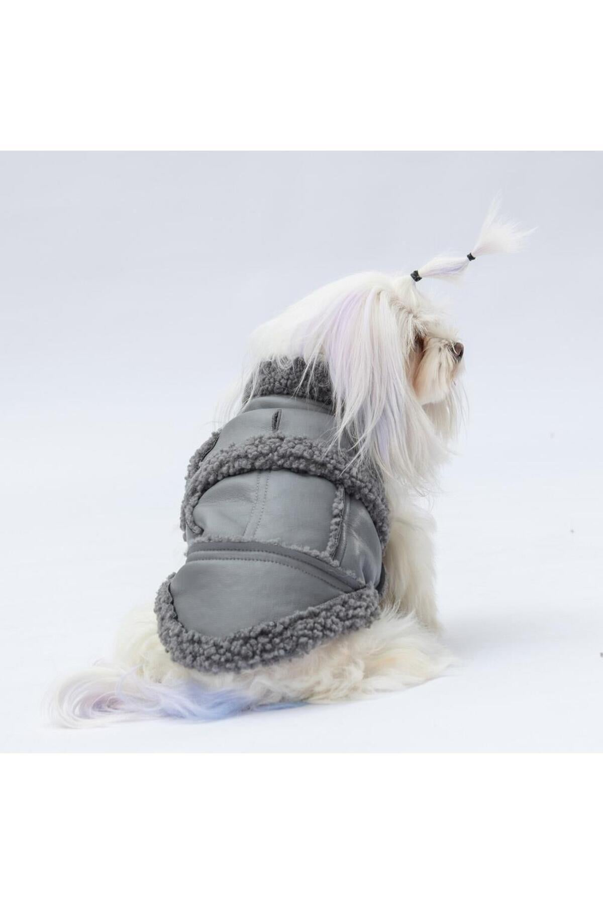 Pawstar Gri Churchill Yelek Köpek Yeleği Köpek Kıyafeti Köpek Yağmurluk XL