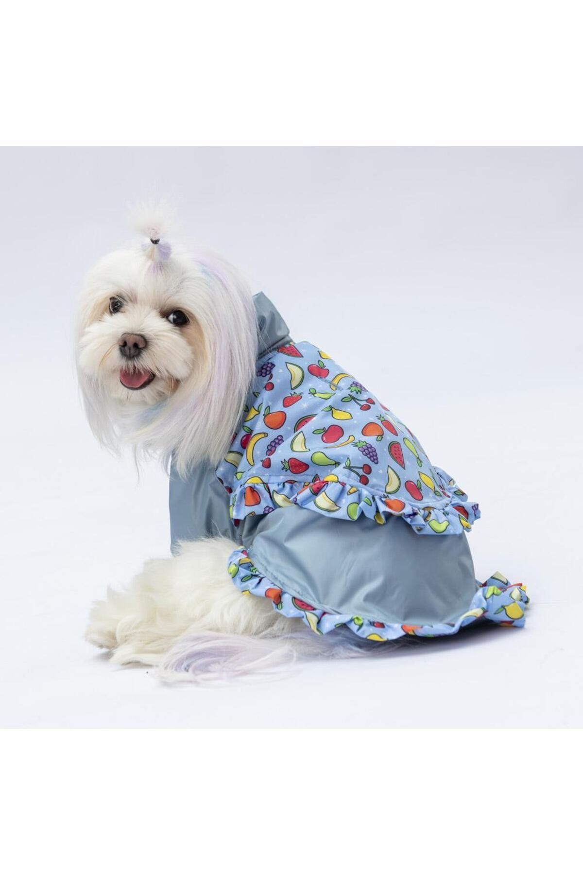 Pawstar Gri Victoria Köpek Mont Köpek Yağmurluk Köpek Kıyafeti Köpek Elbisesi XL