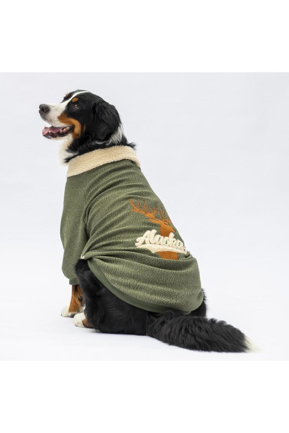 Pawstar Haki Alaska Büyük Irk Köpek Sweat Köpek Kıyafeti 3XL