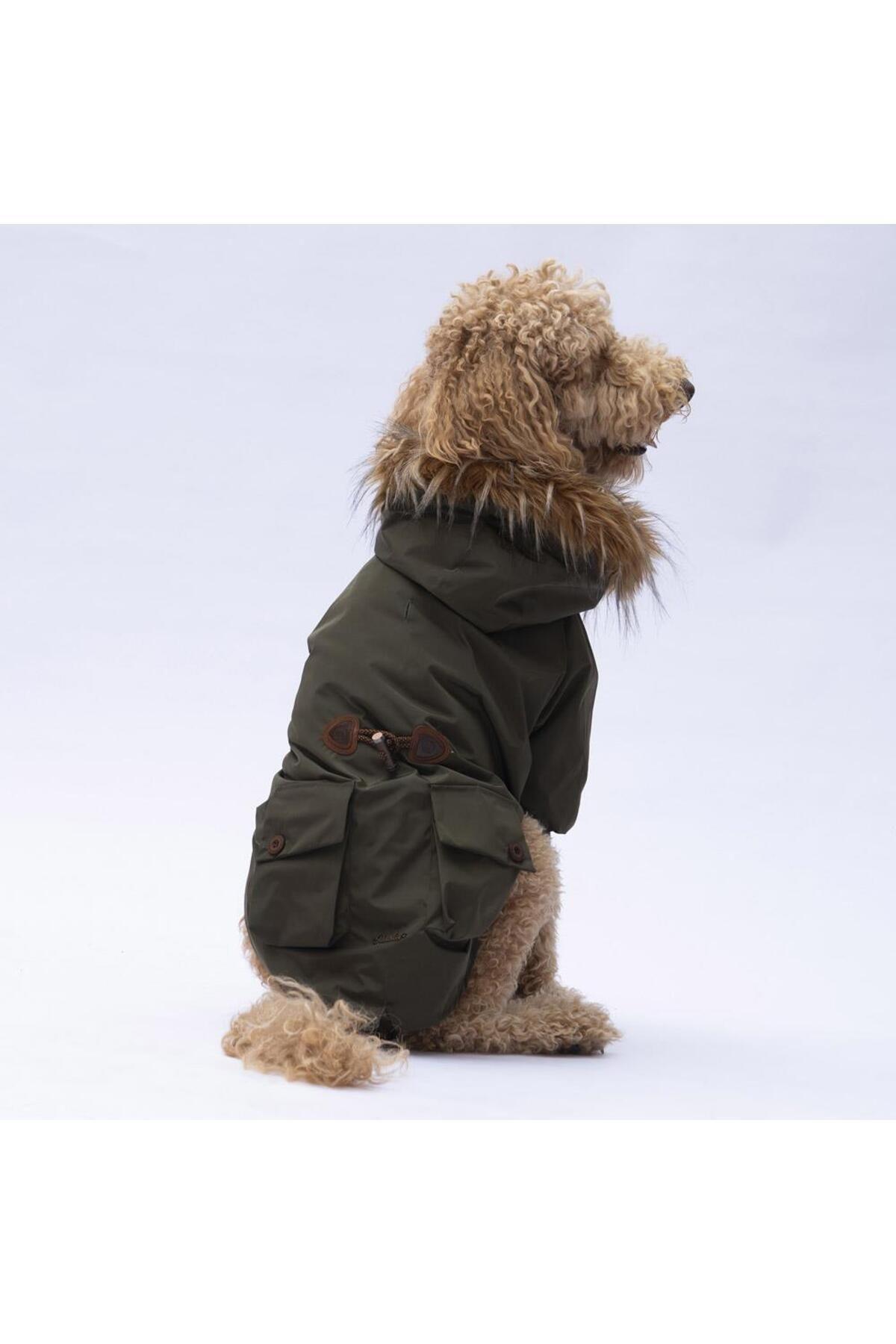 Pawstar Haki Charles Büyük Irk Köpek Mont Köpek Yağmurluk Köpek Kıyafeti Köpek Elbisesi 3XL