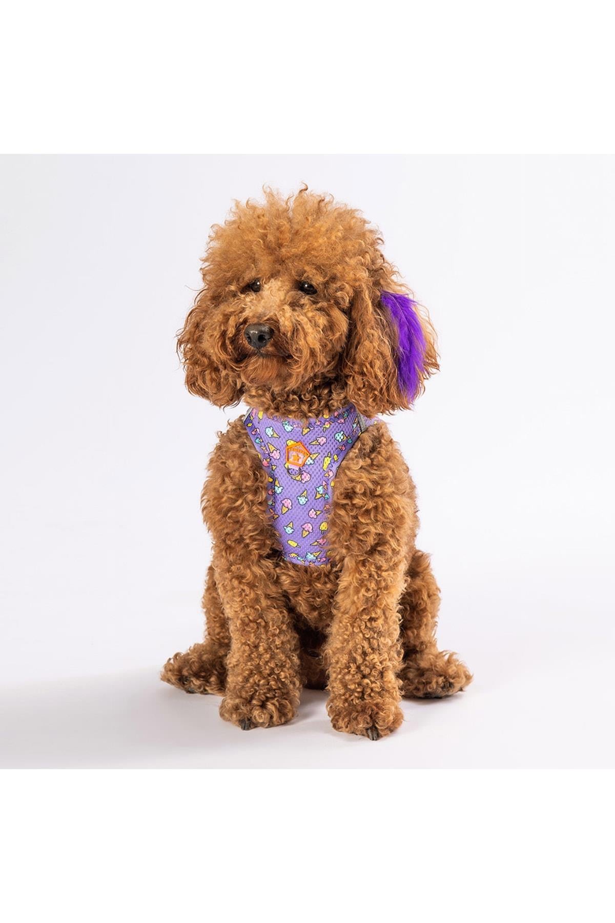Pawstar Ice Cream Air-mesh Göğüs Tasması Kedi Köpek Göğüs Tasması Small