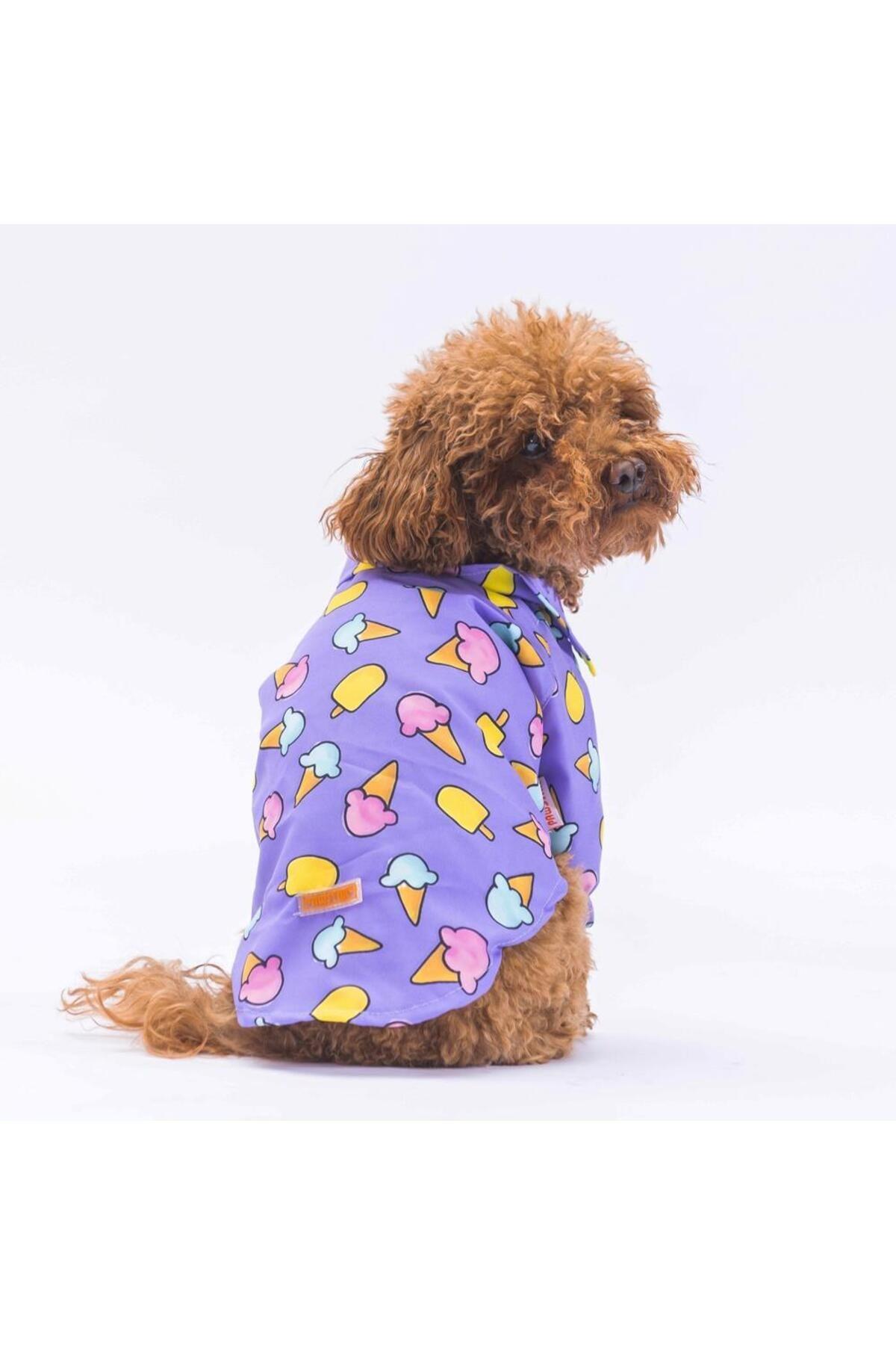 Pawstar Ice Cream Kedi Köpek Gömleği - Kedi Köpek Kıyafeti L
