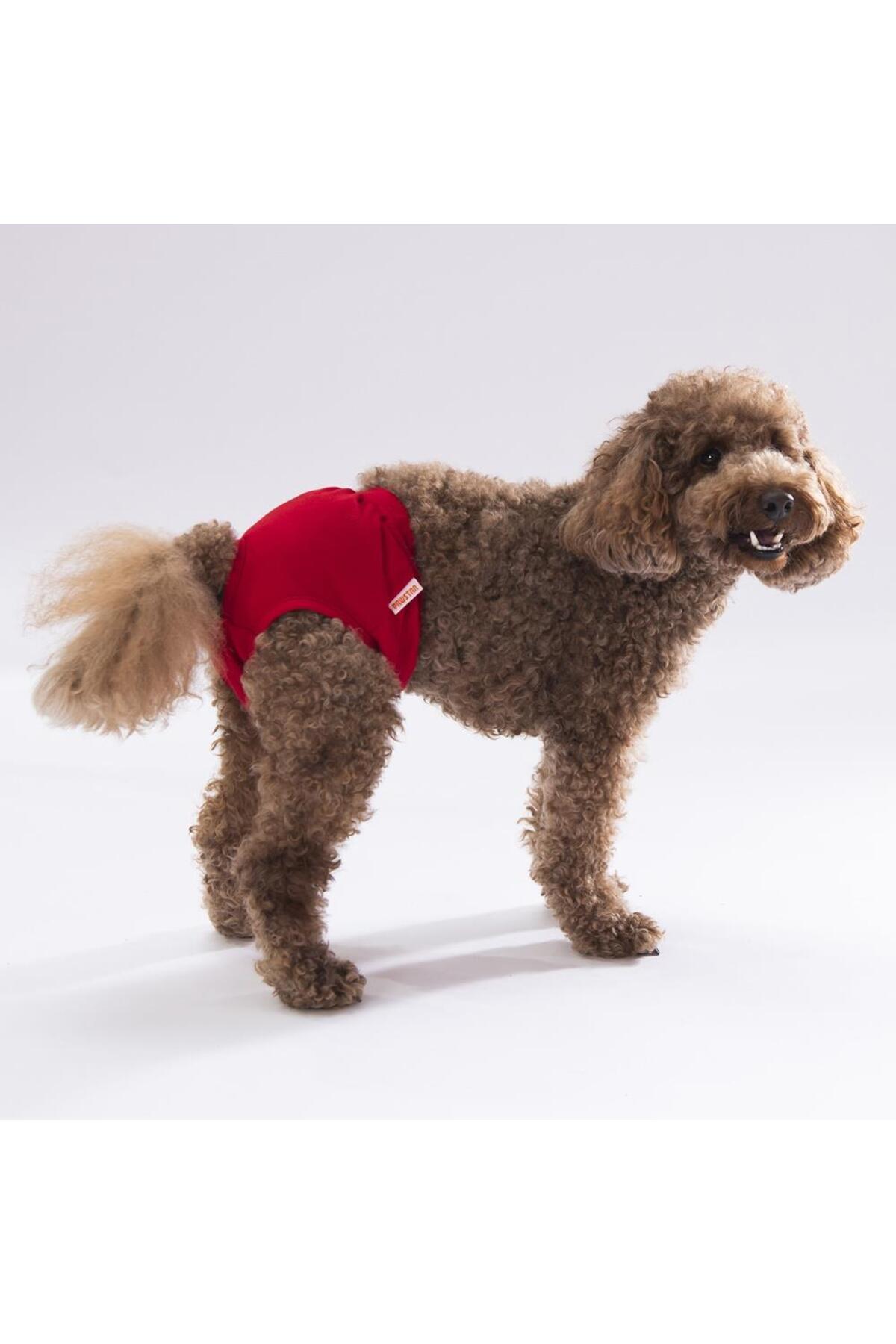 Pawstar Karışık Düz Renkli 1 Kedi-Köpek Çamaşırı Regl Kilodu 0 Numara (3'Lü Paket)
