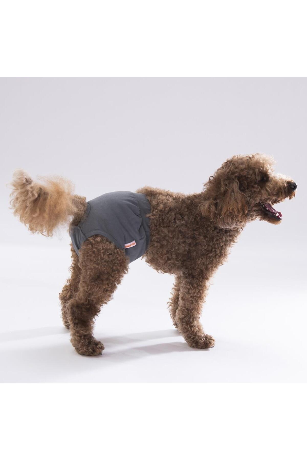 Pawstar Karışık Düz Renkli 2 Kedi-Köpek Çamaşırı Regl Kilodu 0 Numara (3'Lü Paket)