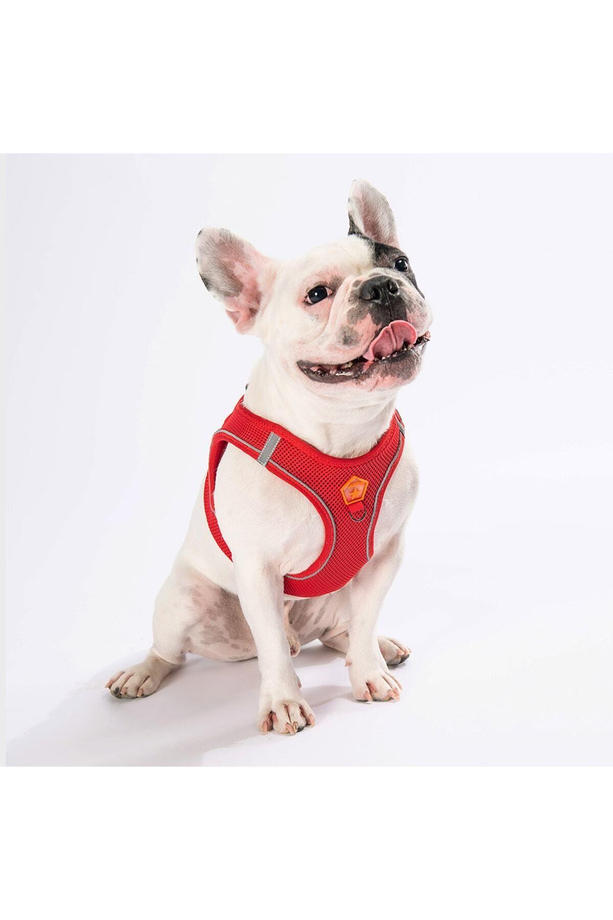 Pawstar Kırmızı Air-mesh Göğüs Tasması Kedi Köpek Göğüs Tasması 3XS