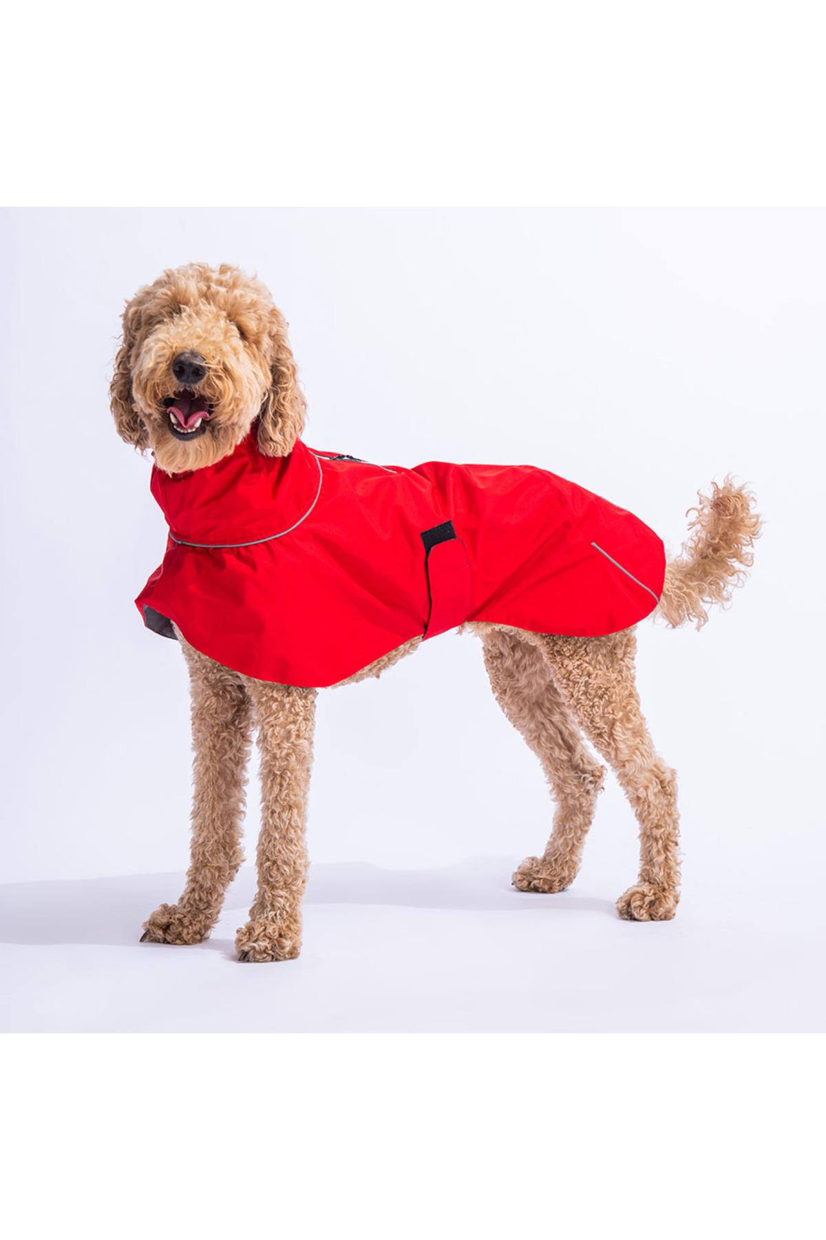 Pawstar Kırmızı Colombia Orta ve Büyük Irk Köpek Yağmurluğu Köpek Kıyafeti Köpek Elbisesi XS