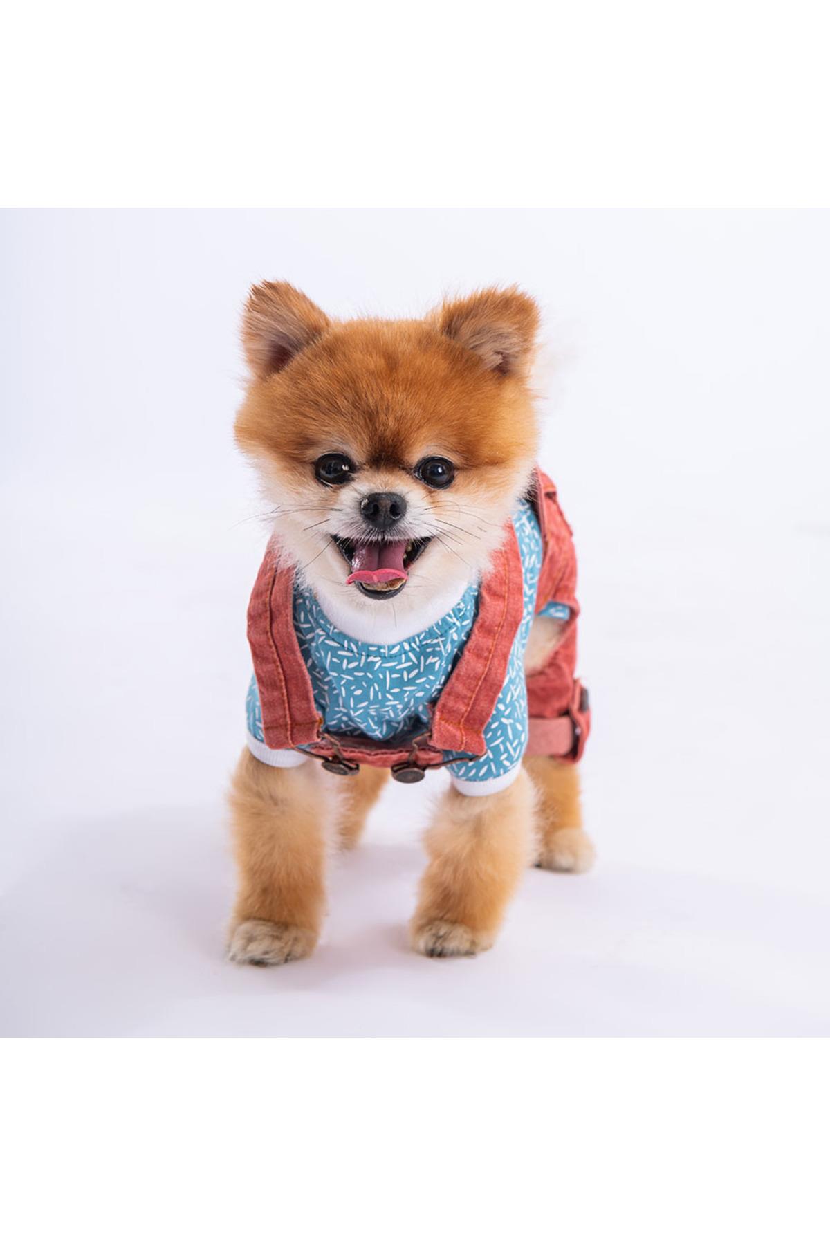 Pawstar Kırmızı Denim Salopet Tişört Kombini Köpek Kıyafeti Köpek Tişört -tulum Kombini - S