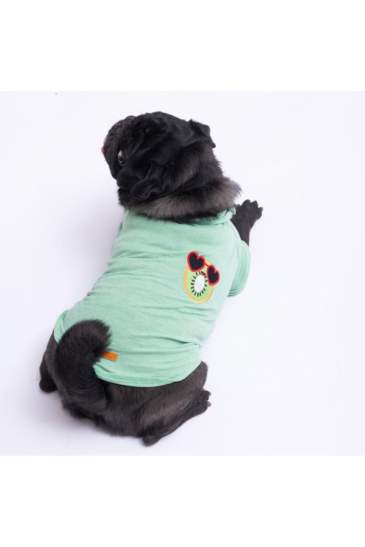 Pawstar Kiwi Polo Yaka Kedi Köpek T-shirt - Kedi Köpek Kıyafeti 2XL