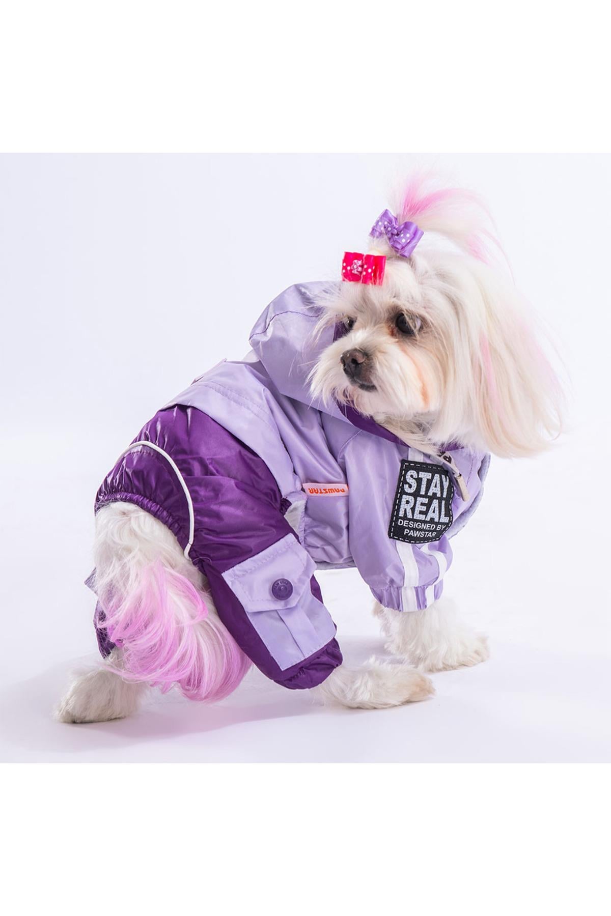 Pawstar Lila-mor Bicolor Köpek Tulum Yağmurluğu Köpek Yağmurluk Köpek Kıyafeti Köpek Elbisesi -L