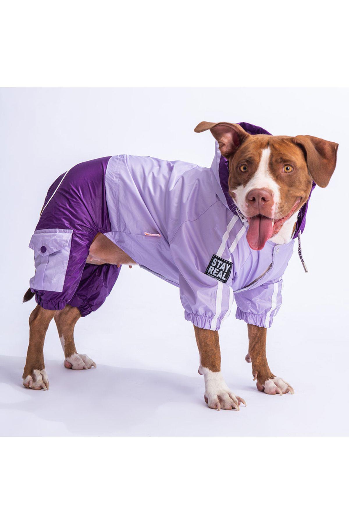 Pawstar Lila-Mor BiColor Orta ve Büyük Irk Köpek Tulum Yağmurluğu Köpek Yağmurluk Köpek Kıyafeti 7XL