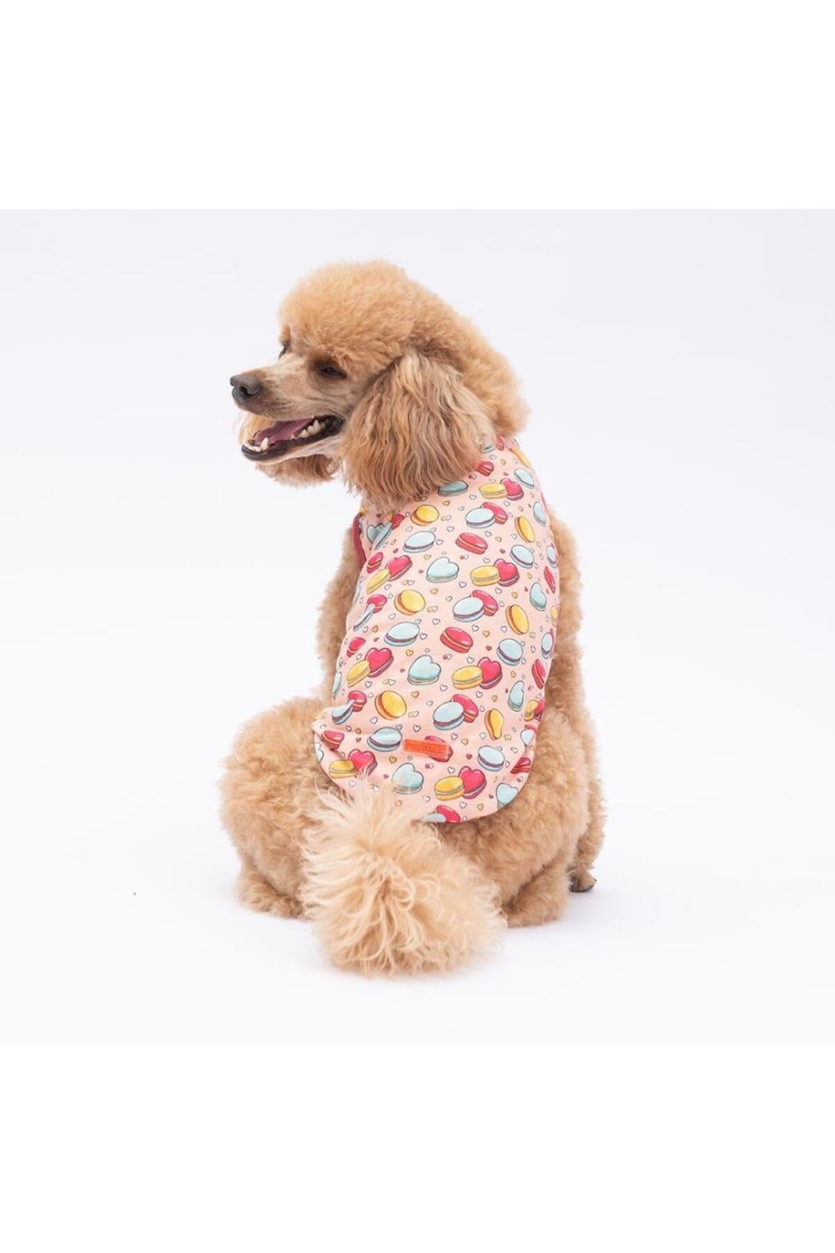 Pawstar Love Macarons Kedi Köpek Tişörtü - Kedi Köpek Kıyafeti L