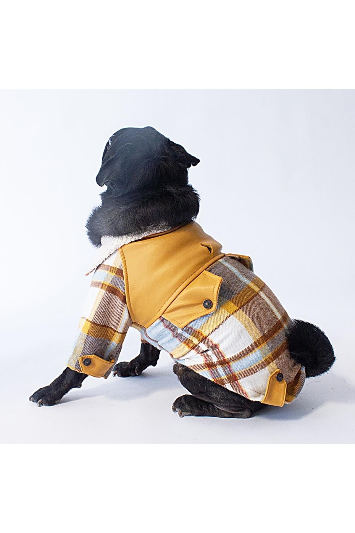 Pawstar Mavi Plaid e Pelle Kedi Köpek Ceketi Kedi Köpek Kıyafeti Kedi Köpek Elbisesi - XL