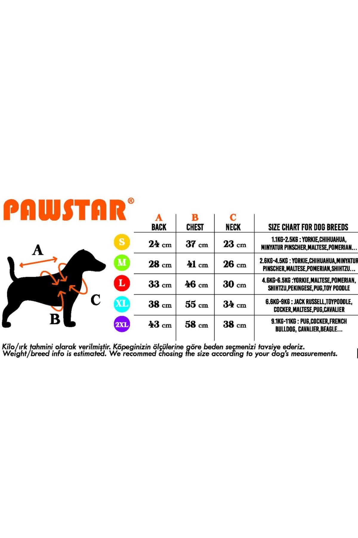Pawstar Mavi Style Kapşonlu Kedi Köpek Tişörtü - Kedi Köpek Kıyafeti 2XLarge