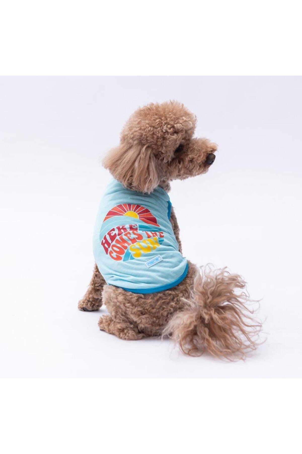 Pawstar Mavi The Sun Kedi Köpek Tişörtü - Kedi Köpek Kıyafeti M