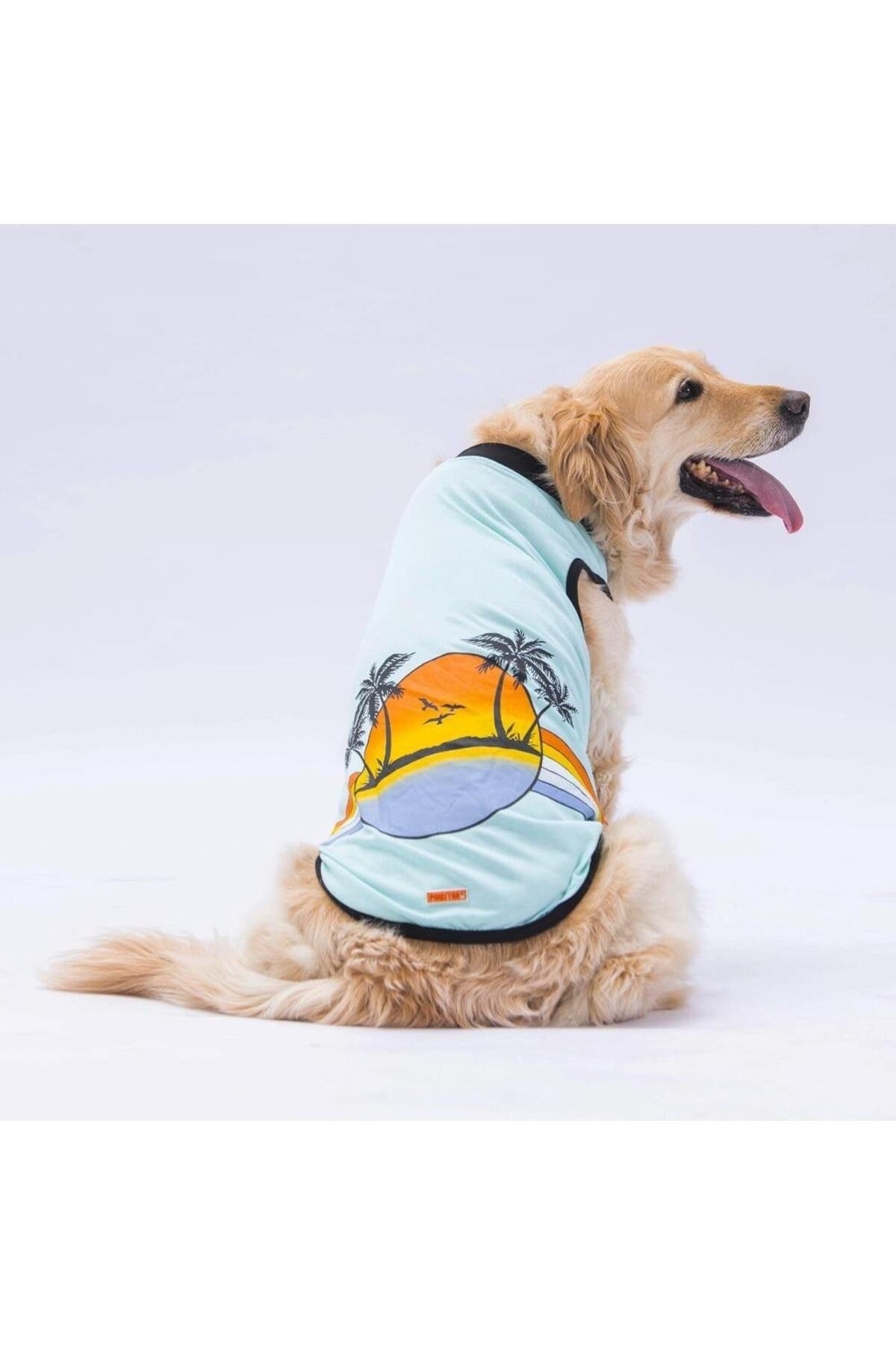 Pawstar Mint Sunrise Büyük Köpek Tişörtü - Köpek Kıyafeti (15 KG-45 KG) 4XL