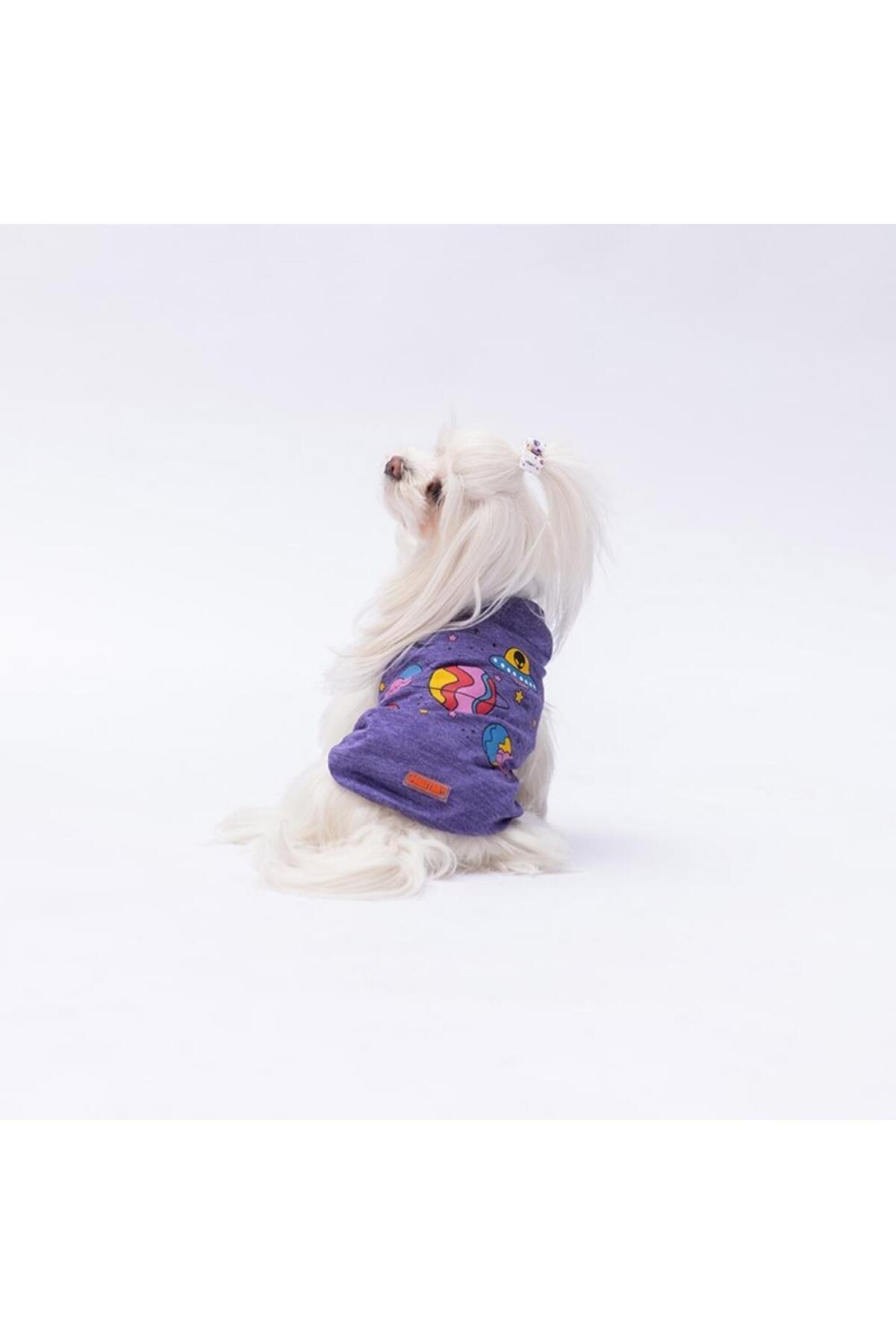 Pawstar Mor Space Time Kedi Köpek Tişörtü - Kedi Köpek Kıyafeti 2xl