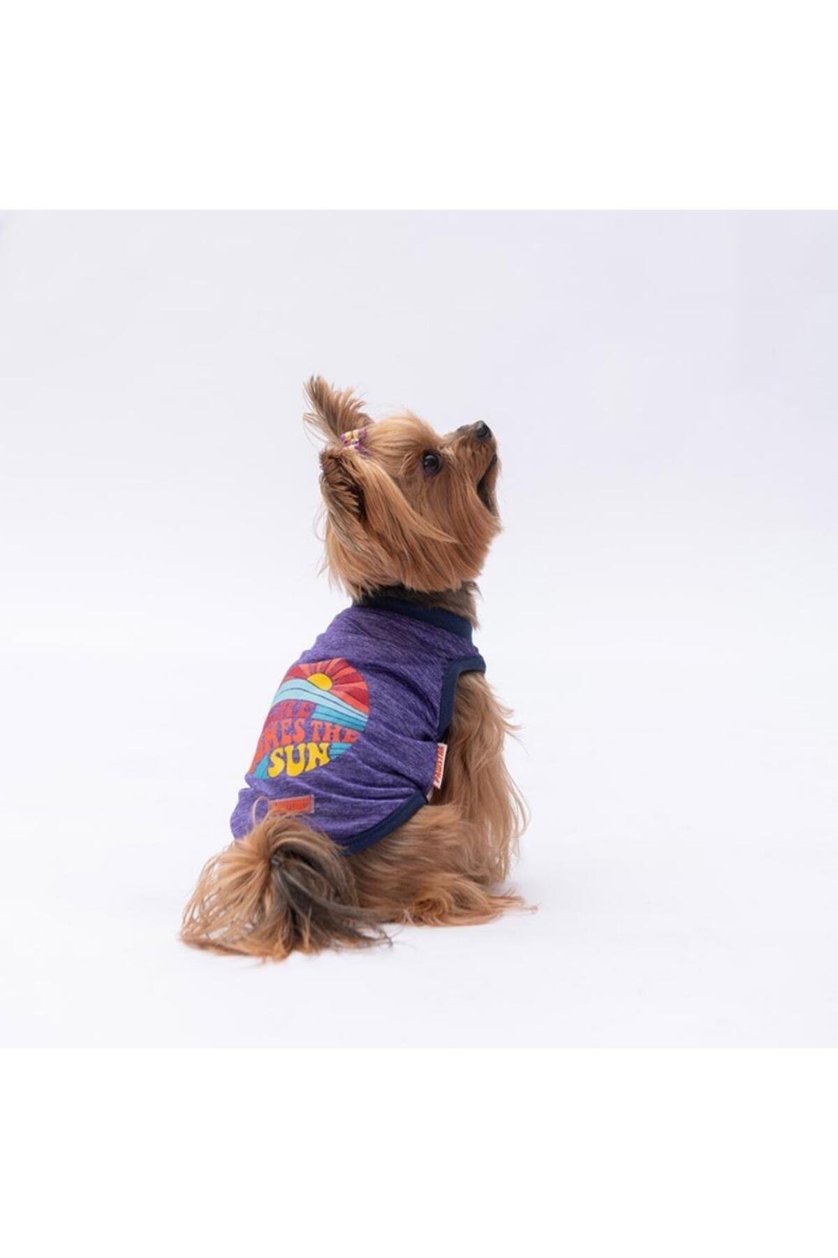 Pawstar Mor The Sun Kedi Köpek Tişörtü - Kedi Köpek Kıyafeti L