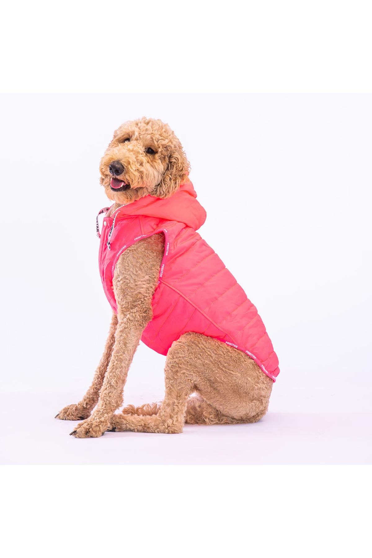 Pawstar Neon Fuşya Railway Orta ve Büyük Irklar İçin Anorak Köpek Yeleği Köpek Kıyafeti Köpek Yağmurluk - 3XL