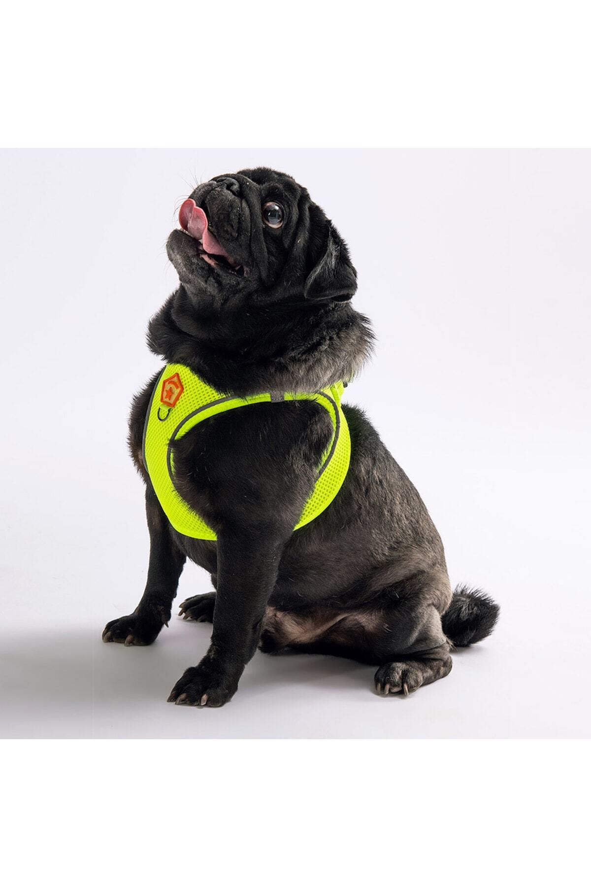 Pawstar Neon Sarı Air-mesh Göğüs Tasması Kedi Köpek Göğüs Tasması 3XS