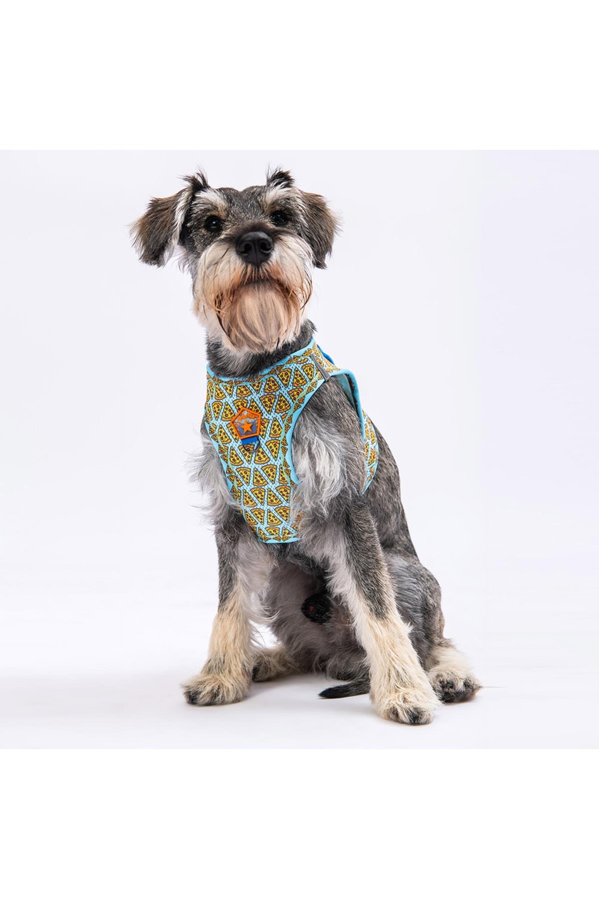Pawstar Pizza Air-mesh Göğüs Tasması Kedi Köpek Göğüs Tasması Small